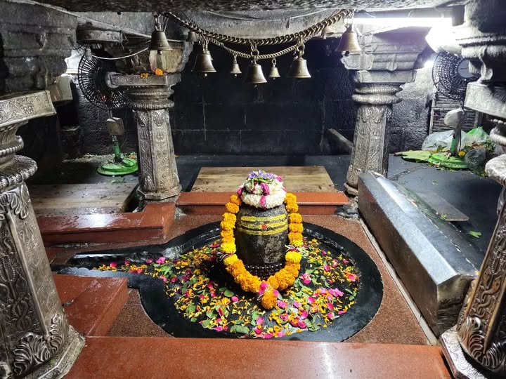 Aundha nāganātha Image